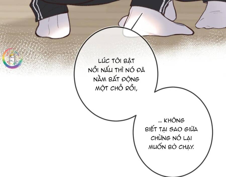 Em Đến Cùng Cơn Gió Chương 12 - Trang 44