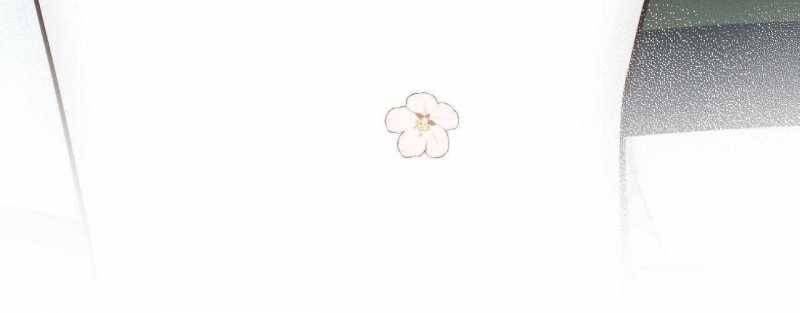 Em Đến Cùng Cơn Gió Chương 24 - Trang 77