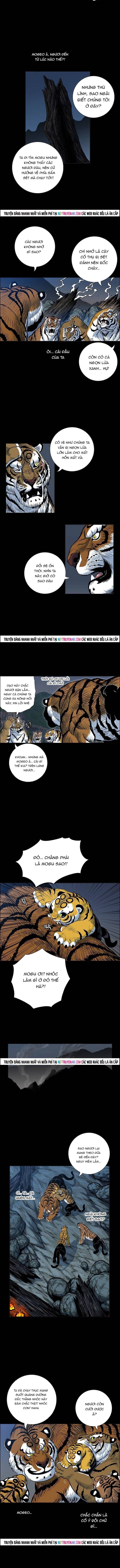 Anh Trai Tôi Là Hổ