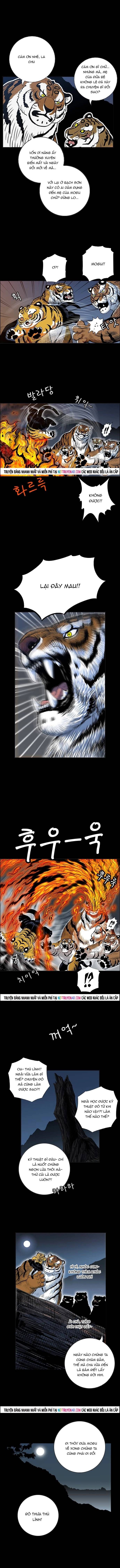 Anh Trai Tôi Là Hổ