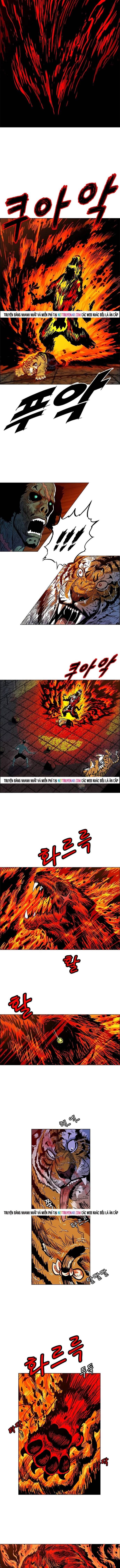 Anh Trai Tôi Là Hổ