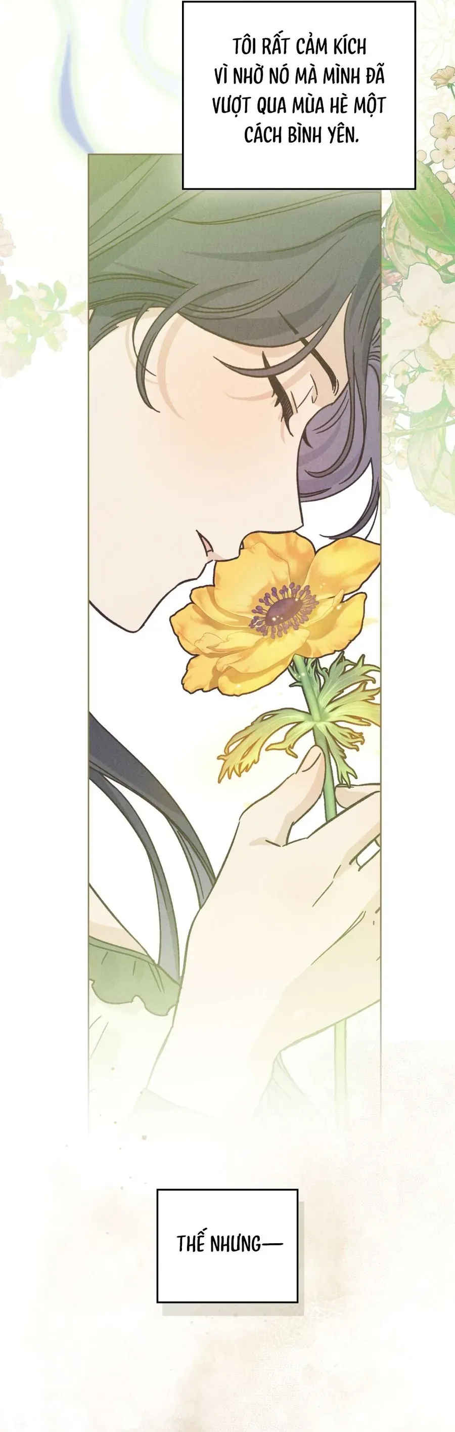 ho-diep-nuot-chung-suong-mu-18