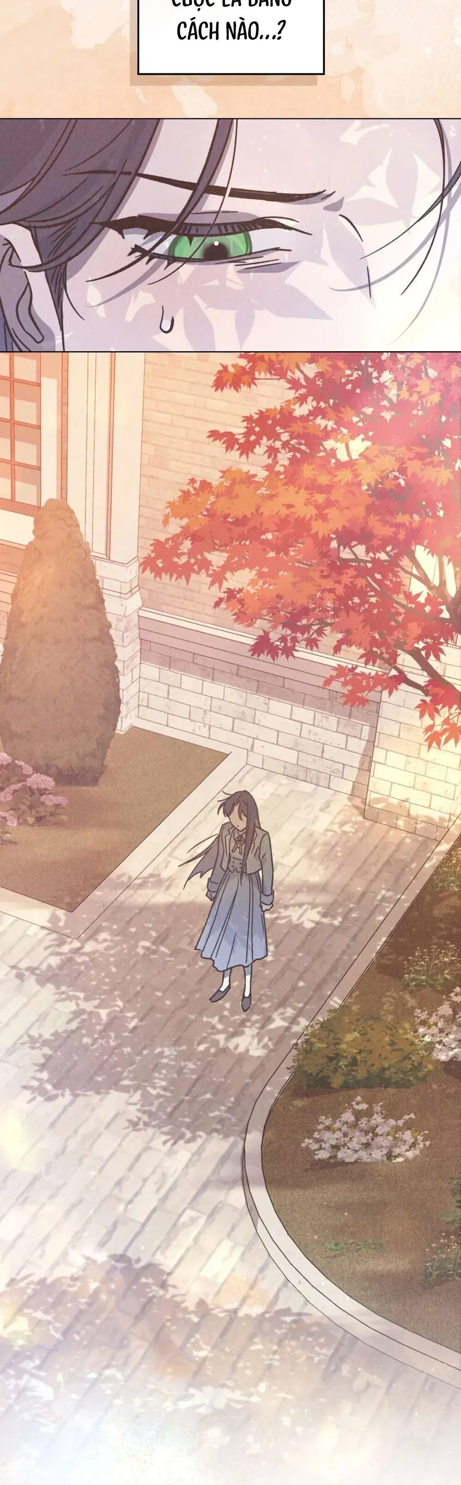 ho-diep-nuot-chung-suong-mu-39