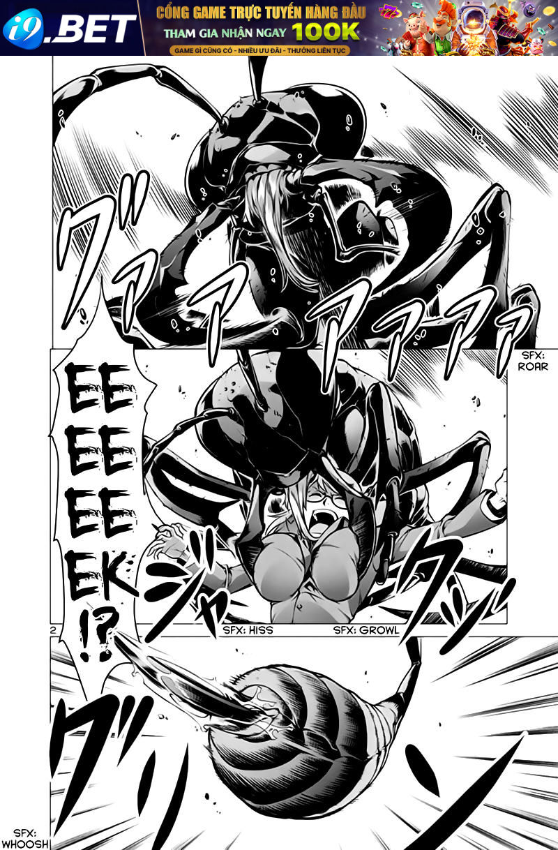 kyochuu-rettou-dao-con-trung-2