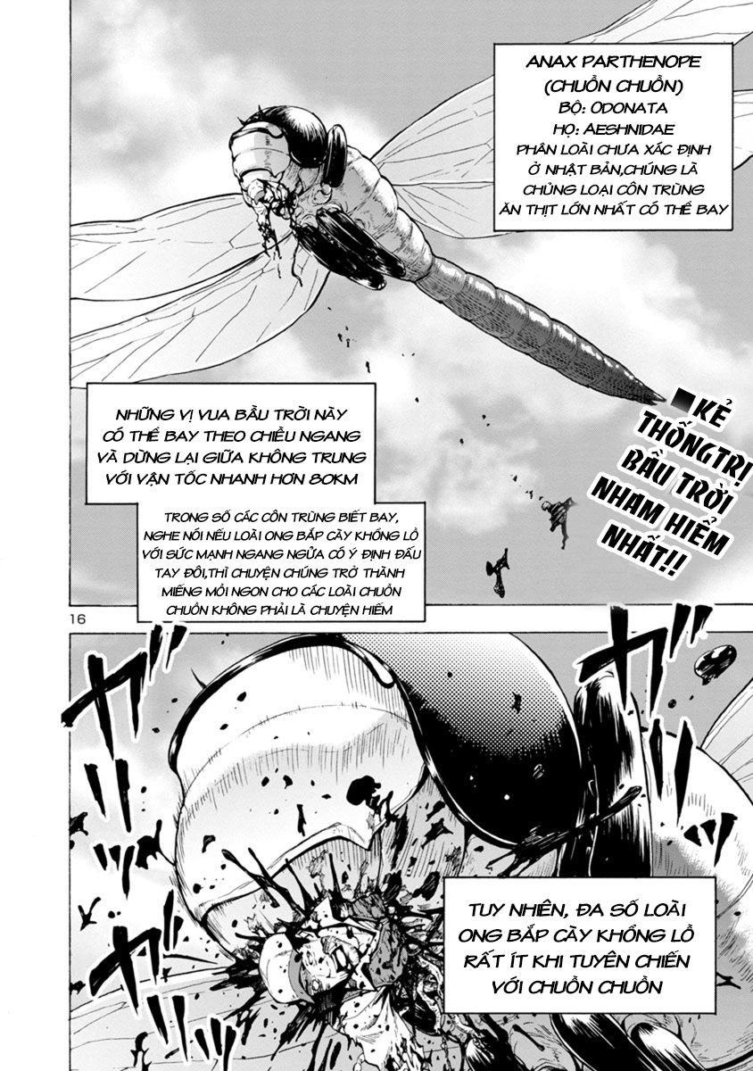 Kyochuu Rettou - Đảo Côn Trùng Chương 22.5 - Trang 17