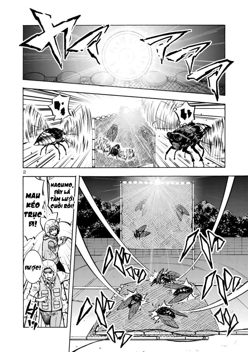 Kyochuu Rettou - Đảo Côn Trùng Chương 33 - Trang 39