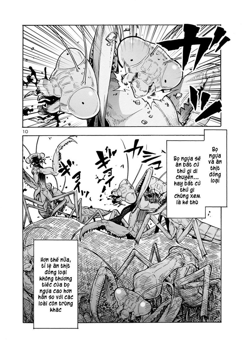 Kyochuu Rettou - Đảo Côn Trùng Chương 38.5 - Trang 11