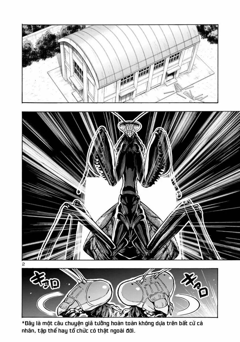 Kyochuu Rettou - Đảo Côn Trùng Chương 43 - Trang 3