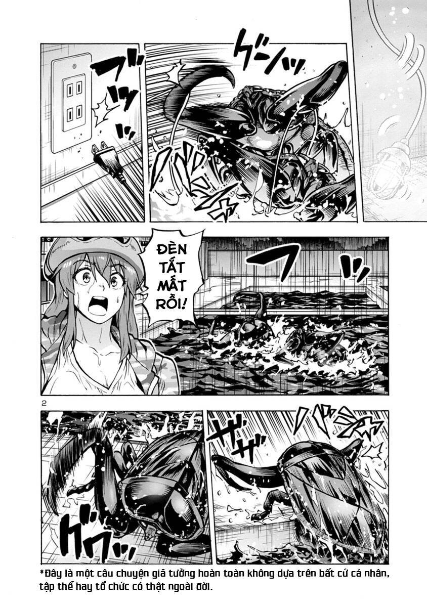 Kyochuu Rettou - Đảo Côn Trùng Chương 49 - Trang 24