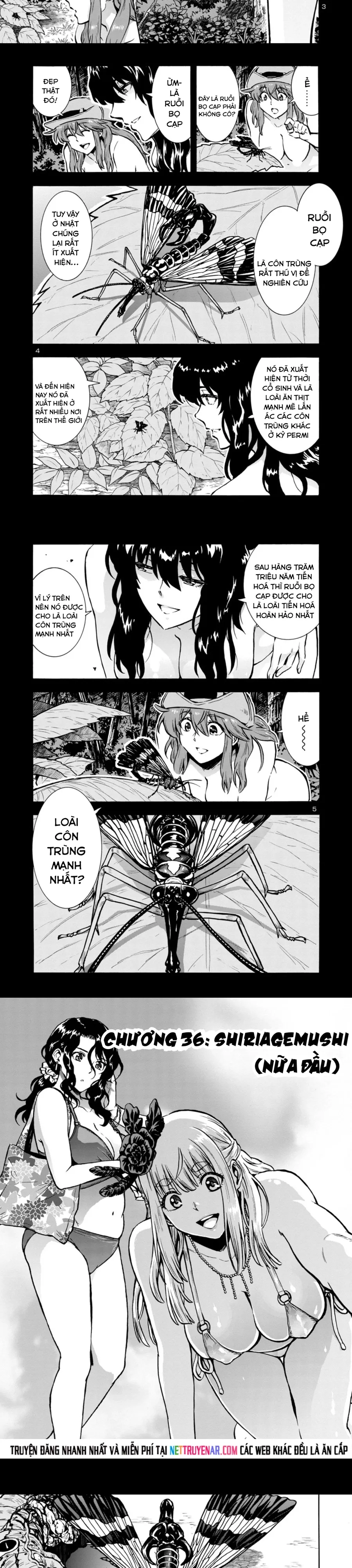 kyochuu-rettou-dao-con-trung-1