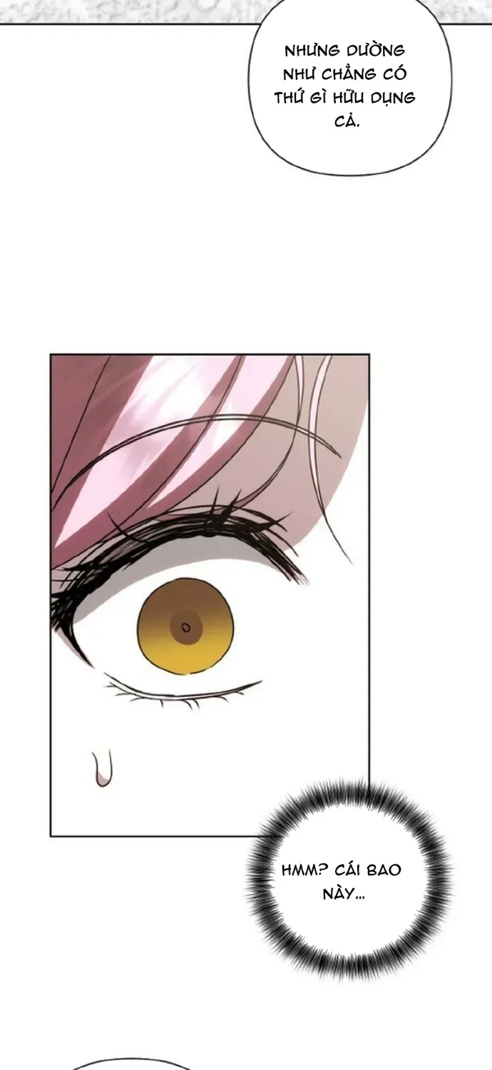 Phải Lòng Nhân Vật Phản Diện Từ Cái Nhìn Đầu Tiên Chap 38 - Next Chap 37