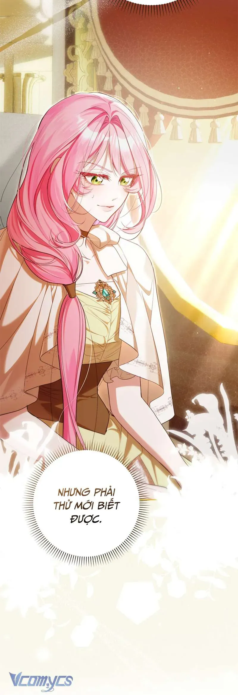 ke-phan-dien-do-chinh-la-toi-10