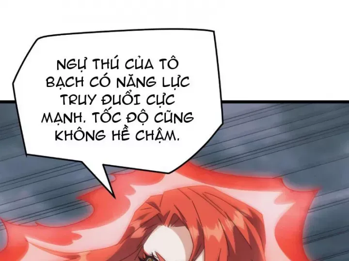 van-toc-xam-luoc-bat-dau-thuan-hoa-cu-thu-cap-su-thi-85