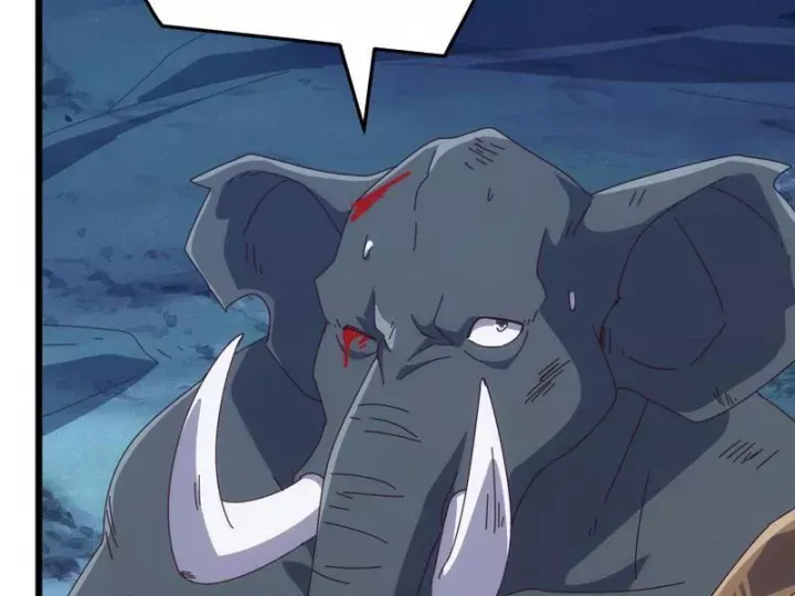 van-toc-xam-luoc-bat-dau-thuan-hoa-cu-thu-cap-su-thi-124