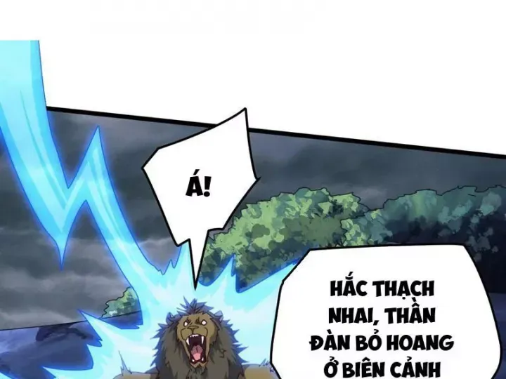 van-toc-xam-luoc-bat-dau-thuan-hoa-cu-thu-cap-su-thi-132