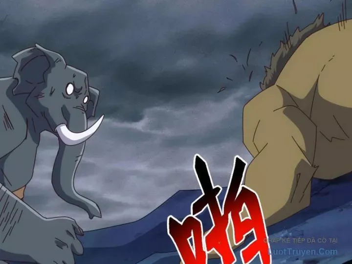 van-toc-xam-luoc-bat-dau-thuan-hoa-cu-thu-cap-su-thi-148