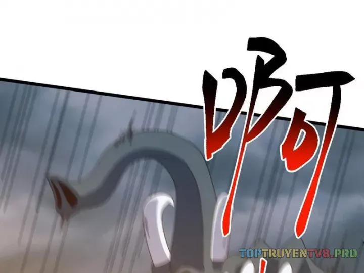 van-toc-xam-luoc-bat-dau-thuan-hoa-cu-thu-cap-su-thi-3