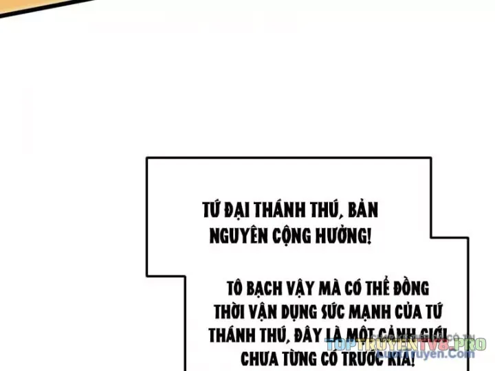 van-toc-xam-luoc-bat-dau-thuan-hoa-cu-thu-cap-su-thi-5