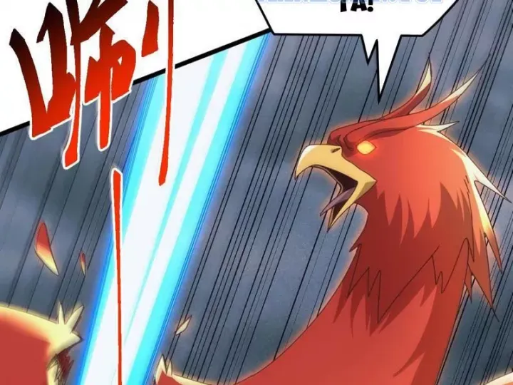 van-toc-xam-luoc-bat-dau-thuan-hoa-cu-thu-cap-su-thi-73