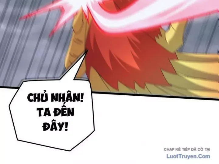 van-toc-xam-luoc-bat-dau-thuan-hoa-cu-thu-cap-su-thi-75