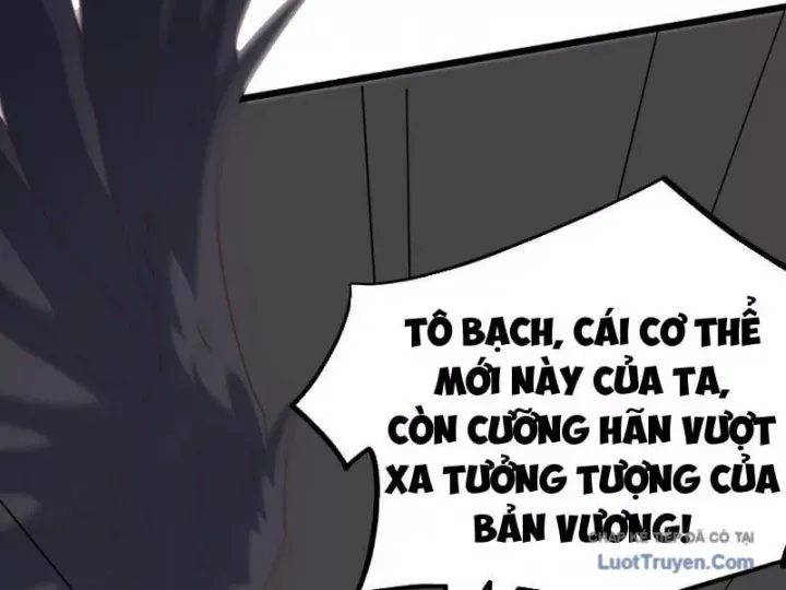 van-toc-xam-luoc-bat-dau-thuan-hoa-cu-thu-cap-su-thi-127