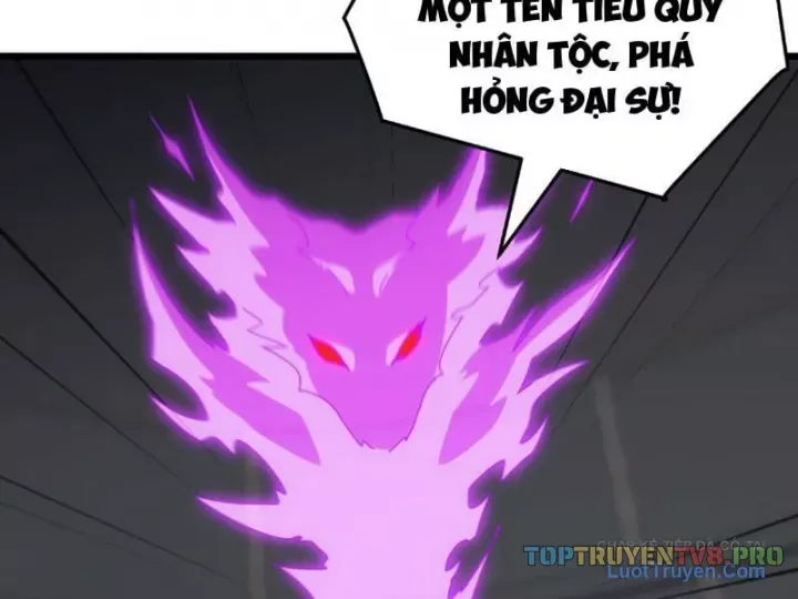 van-toc-xam-luoc-bat-dau-thuan-hoa-cu-thu-cap-su-thi-4