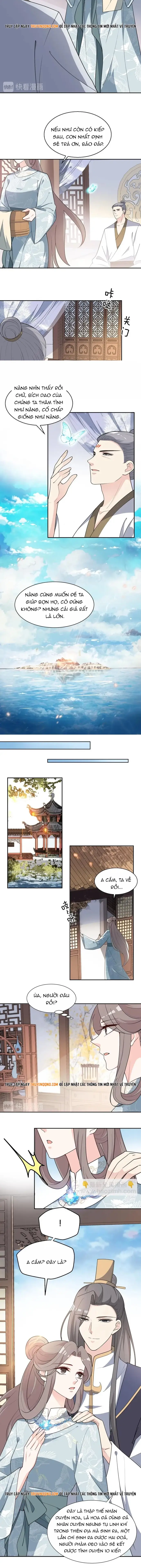 Trùng Sinh Chuyên Sủng Độc Phi Của Nhiếp Chính Vương Chap 142 - Next Chap 141