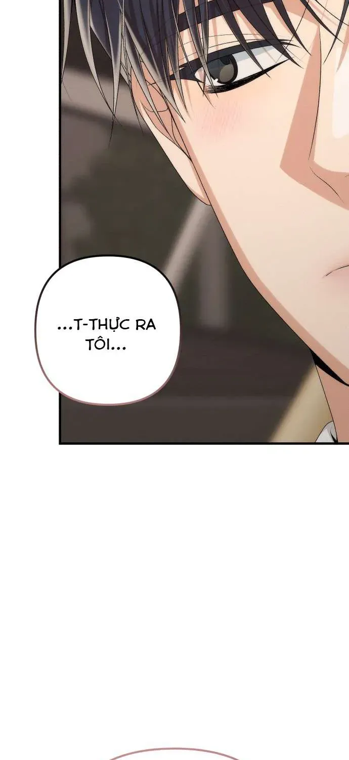 hop-dong-tinh-yeu-cong-so-23