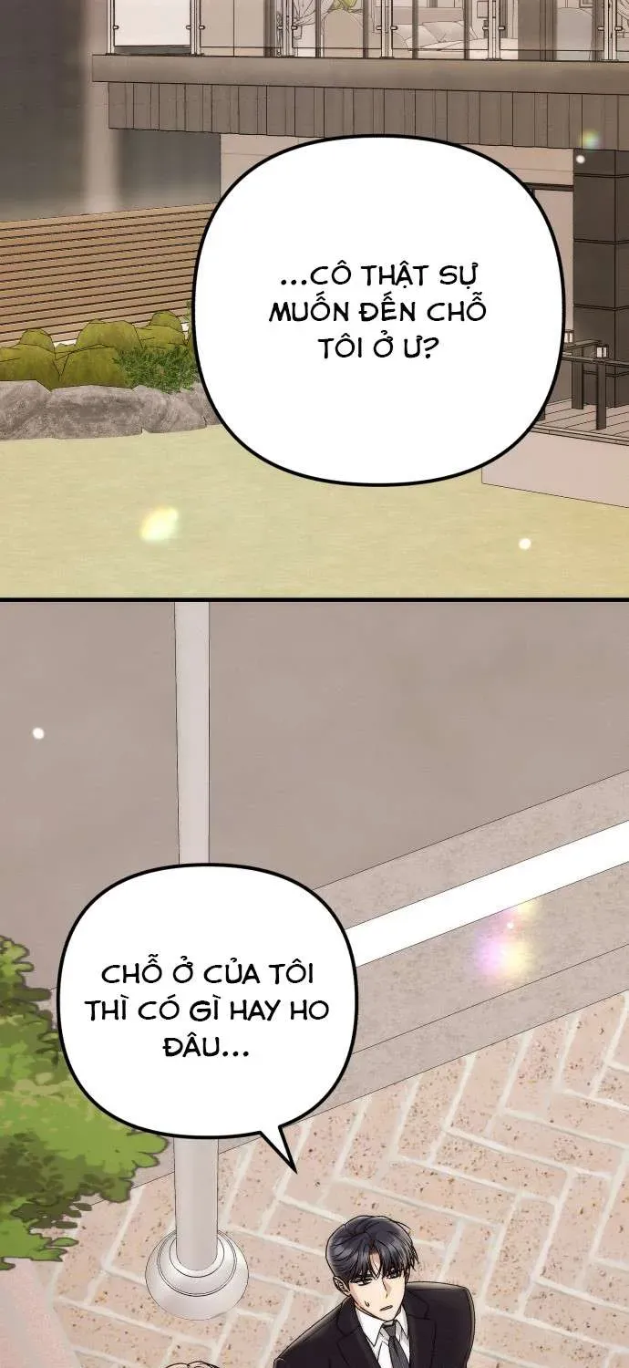 hop-dong-tinh-yeu-cong-so-31