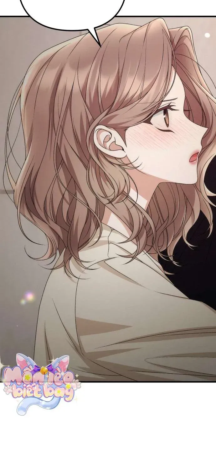 hop-dong-tinh-yeu-cong-so-47