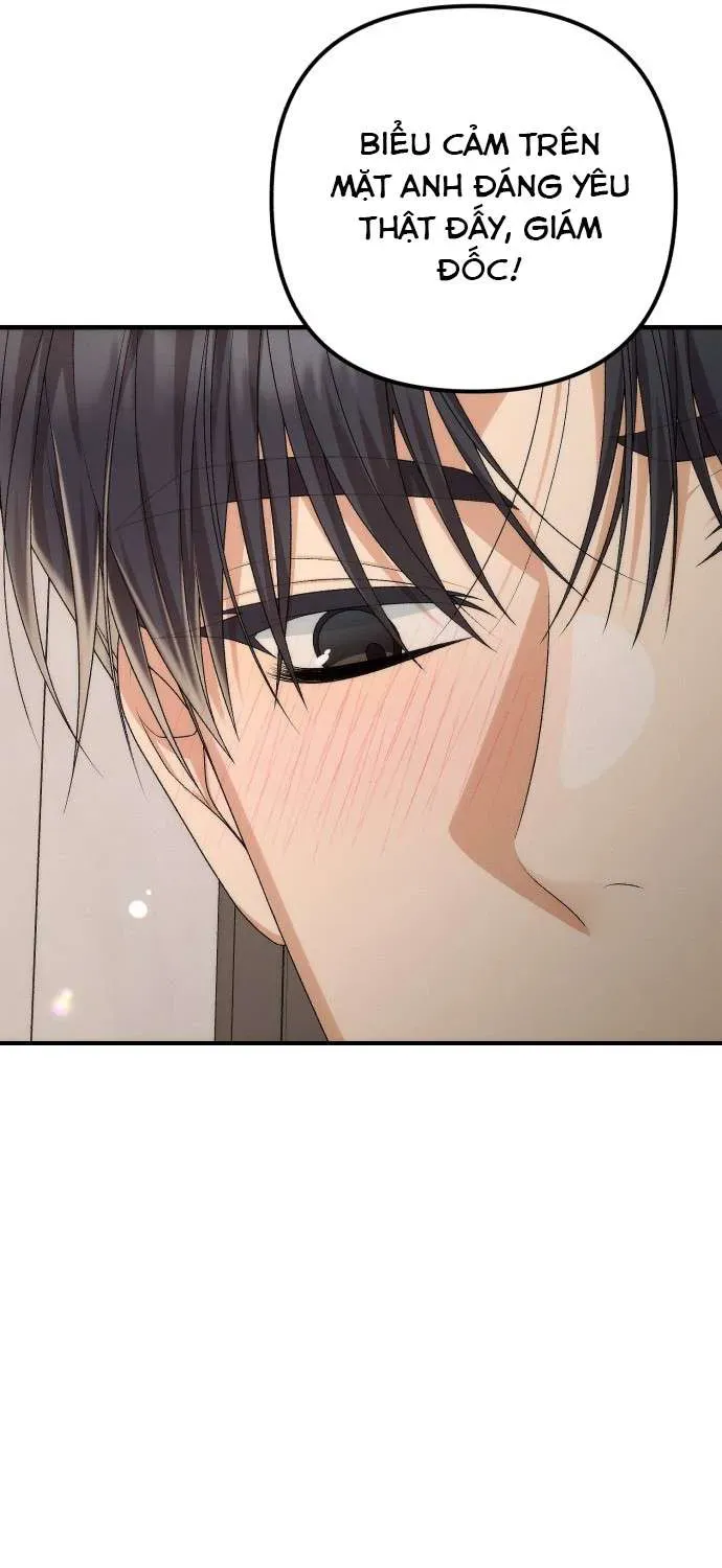 hop-dong-tinh-yeu-cong-so-48