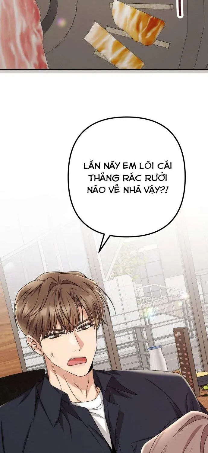 hop-dong-tinh-yeu-cong-so-82