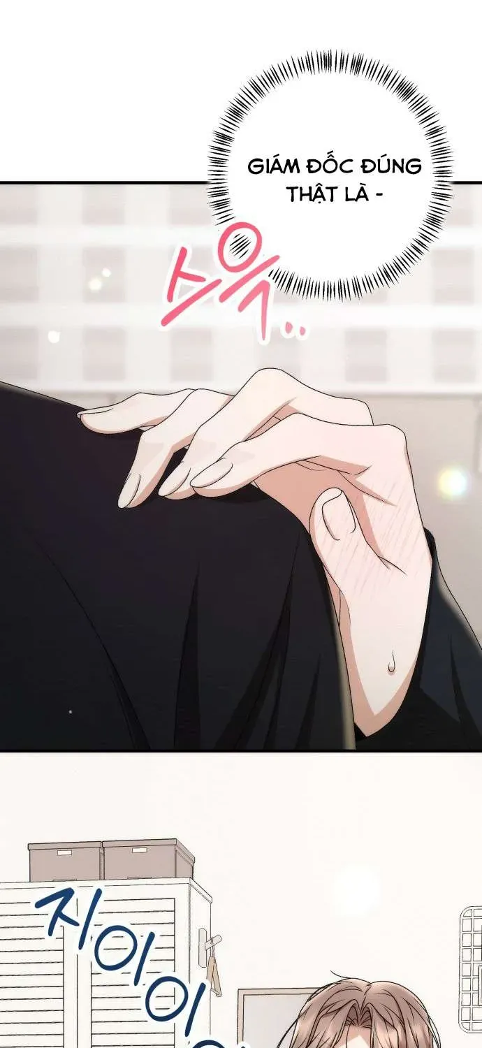 hop-dong-tinh-yeu-cong-so-65