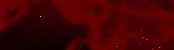 loi-thu-nhan-cua-chua-te-bong-toi-107