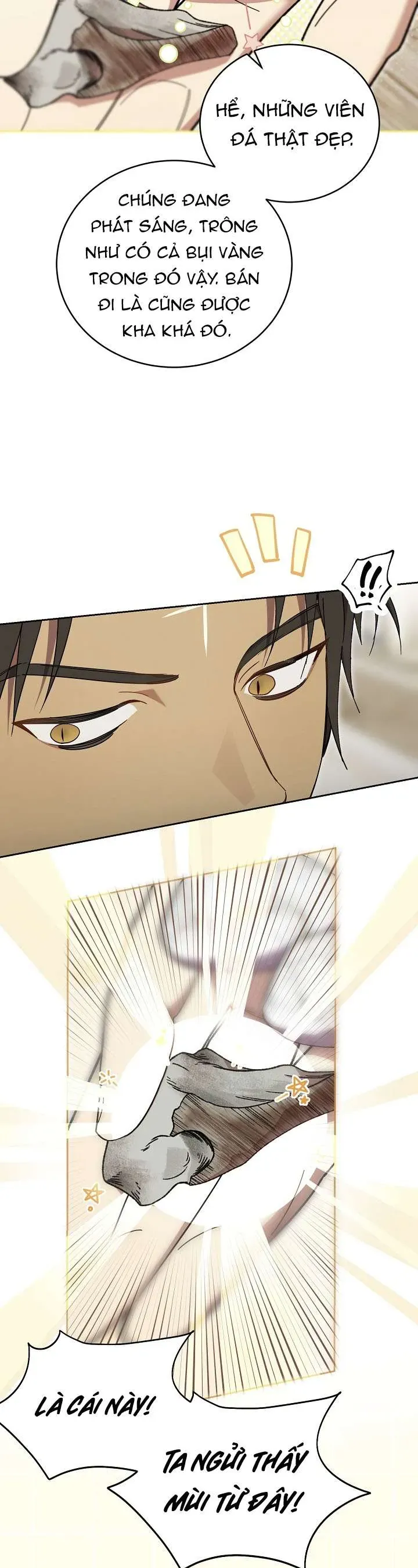 khi-binh-minh-siet-chat-lay-co-9