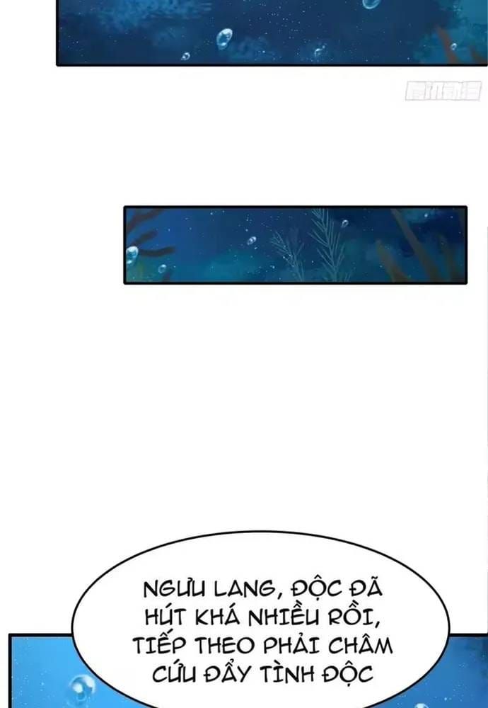 Trụ Vương Tái Sinh Không Muốn Làm Đại Phản Diện Chap 202 - Next Chap 201