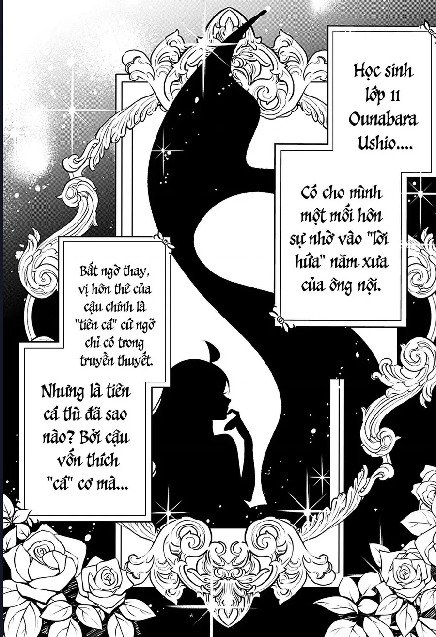 tinh-yeu-va-nang-tien-ca-2