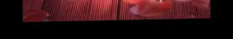 Tân Thiên Sư Chap 31 - Next Chap 32