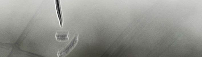 Hầm Ngục Ngon Lành Chap 32 - Next Chap 31