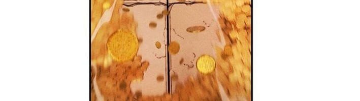 Hầm Ngục Ngon Lành Chap 33 - Next Chap 32