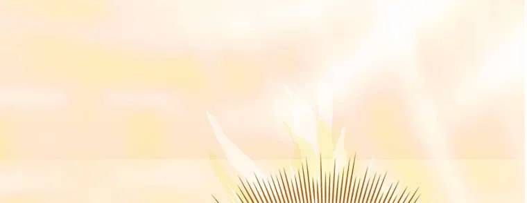 Chồng Ơi, Tại Sao Chúng Ta Không Thể Ly Hôn? Chap 86 - Next Chap 87