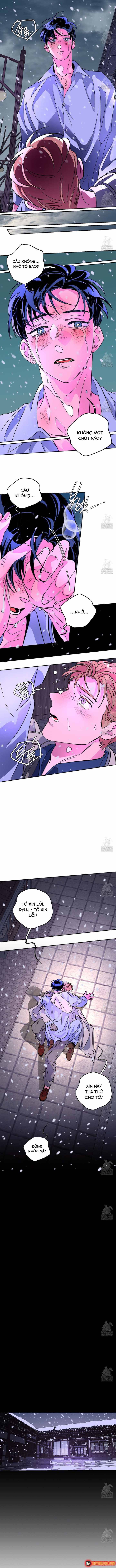 Bá Tước Tachibana