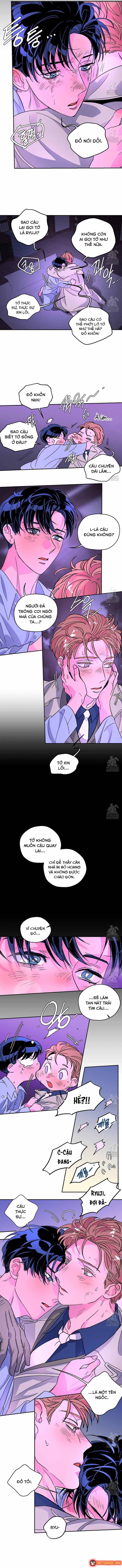 Bá Tước Tachibana