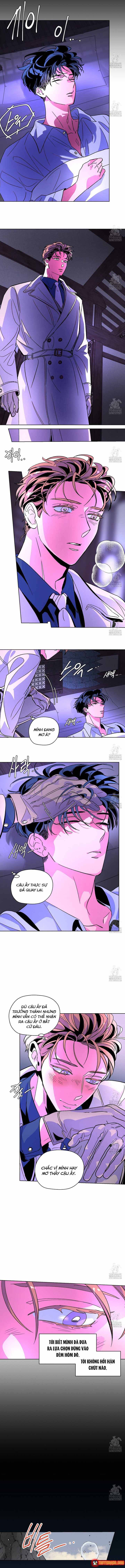 Bá Tước Tachibana