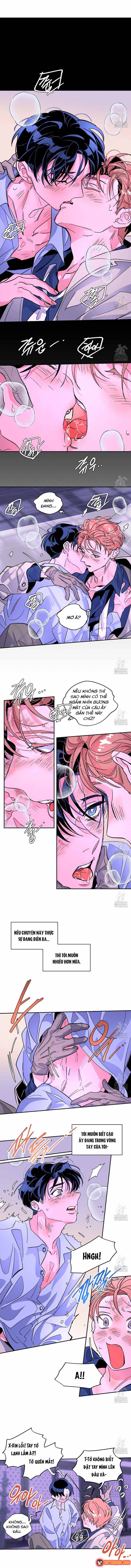 Bá Tước Tachibana