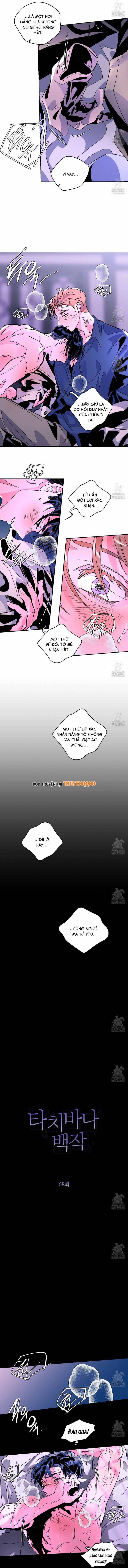 Bá Tước Tachibana