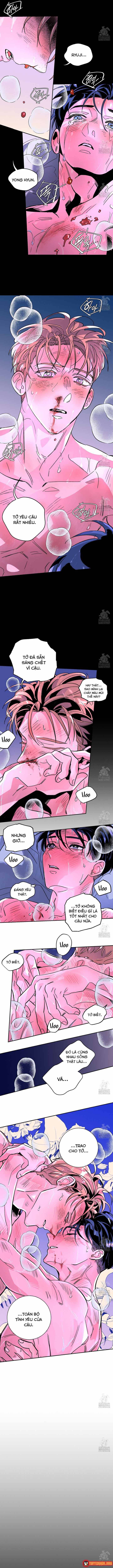 Bá Tước Tachibana