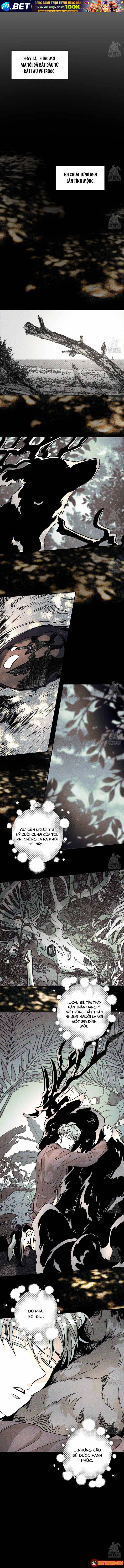 Bá Tước Tachibana