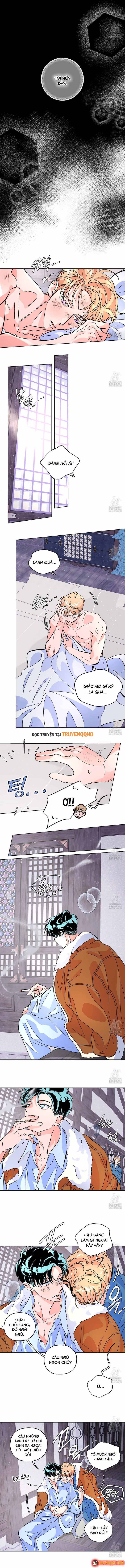 Bá Tước Tachibana