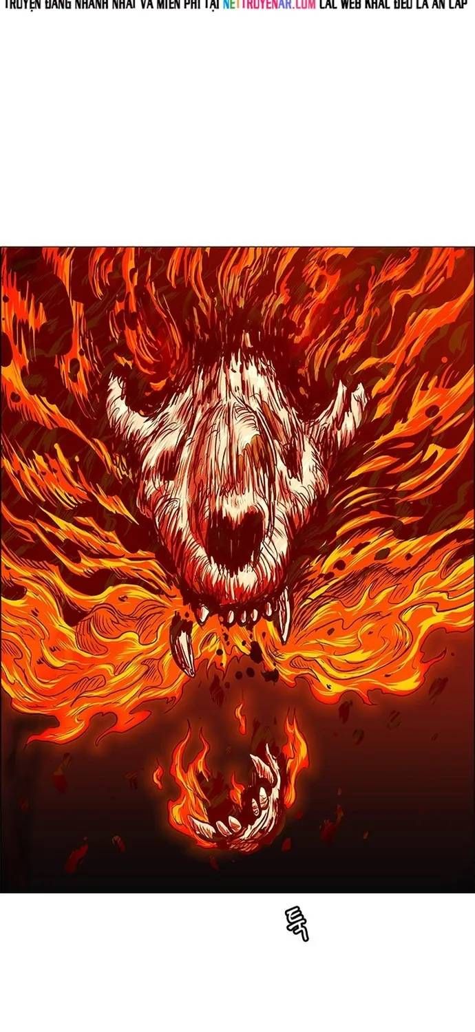 Anh Trai Tôi Là Hổ